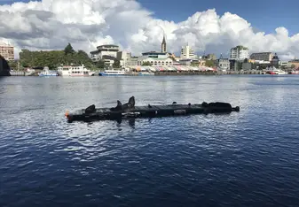 City of Valdivia with sea lions resting in the river