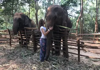 Wildlife in Thailand. A trip of a lifetime!