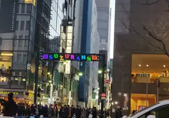 Walking along in Ginza