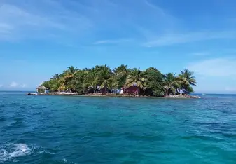 The ReefCI island