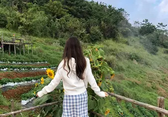 I Love Thailand !!