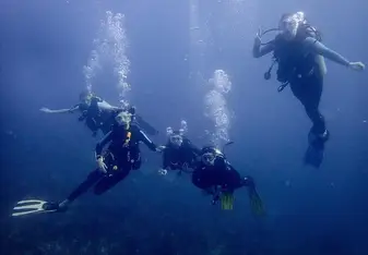 myself and three others posing underwater
