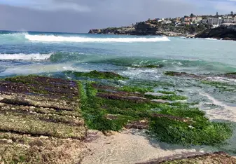 My Favorite Beach-Tamarama