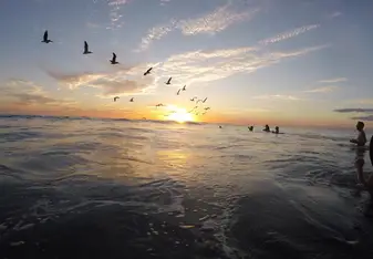 An evening on the beach releasing baby sea turtles