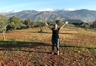 The olive groves around the Alhambra. 