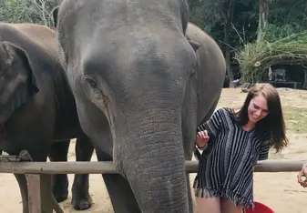 Elephant hugs