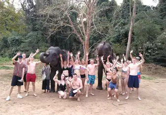 Elephant sanctuary
