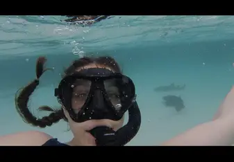 Please excuse my wide eyes but...I was swimming with sharks!!