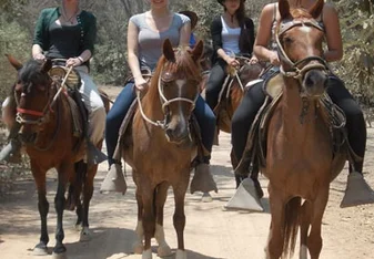 guiding the tours on horseback