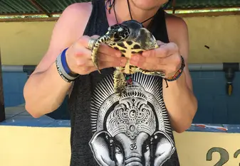 Turtle time