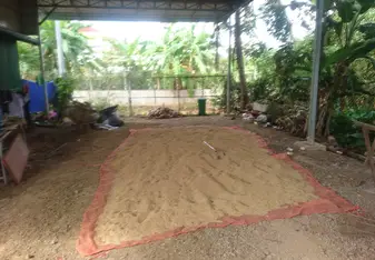 Small organic rice harvest