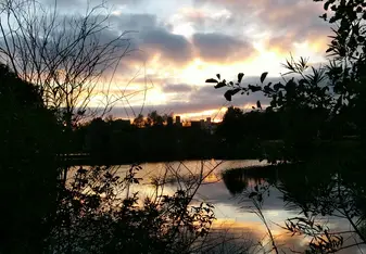 A walk around the pond.