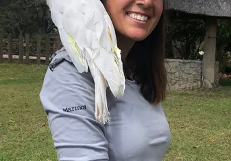 One of the many entertaining cockatoos 