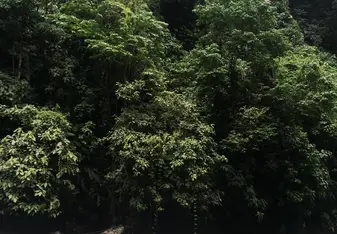 Exploring Costa Rican Rivers
