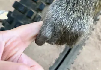 A new friend