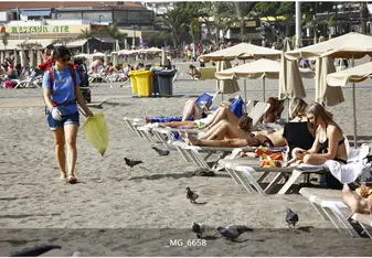 silent beach cleaning. Frontier
