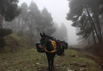 High Atlas Mountains