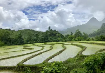 Expect views like this over the rice paddies. 
