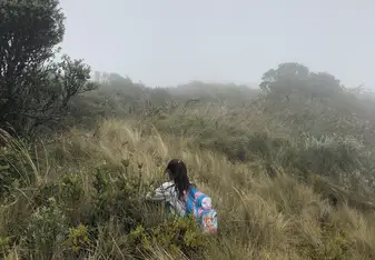 A local kid guiding the way