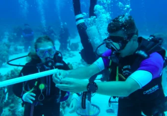 Marine Conservation Training 