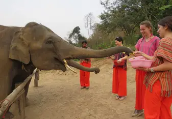Elephant Sanctuary 