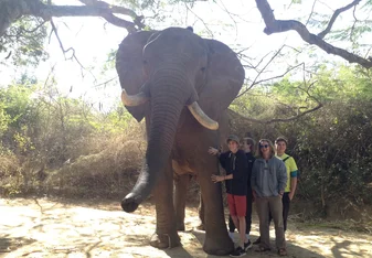 Students at Elephant Sanctuary with Bold Earth Adventures.