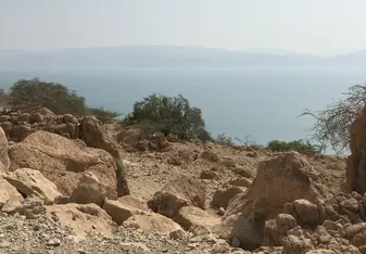 Ein Gedi and the Dead Sea