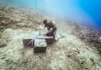 A scuba diver installing a mooring block to prevent anchor damage to the reef