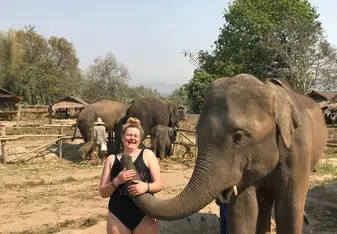 Cheeky elephant 