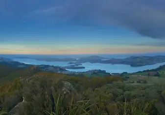 View of Dunedin from Mt. Cargill 