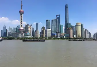 The Shanghai Skyline
