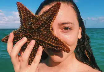 Starfish at Caye Caulker 