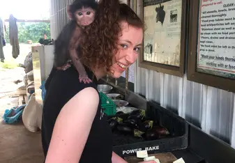 A 7 week old baboon, Rosie, who will eventually be wild