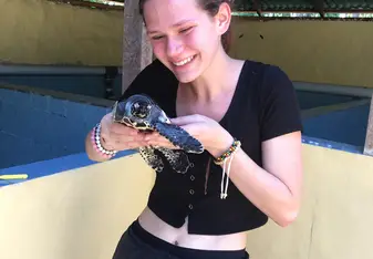 Cleaning turtles