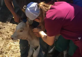 Farm Day