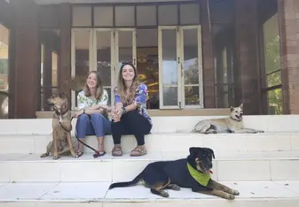 Where we worked on temple grounds with some of our pups!