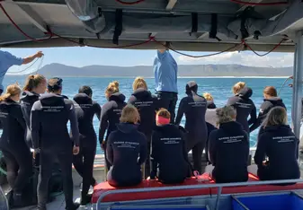 A+ World Academy Students shark diving in Cape Town