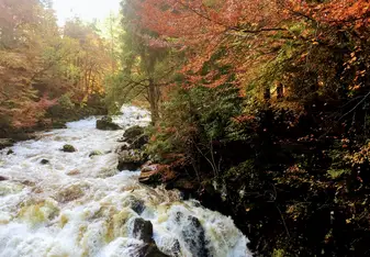 This photo was taken during the weekend trip to the Highlands at the Hermitage - a protected site in Scotland. 