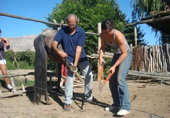 Conservation project