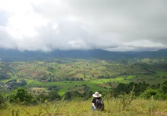 A woman squats in the grass and looks out over the rice fields below. 