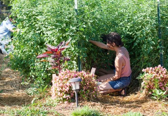 Girl in garden