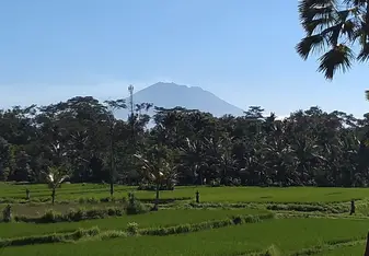 Morning view