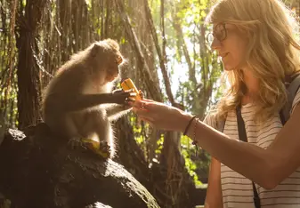 Volunteer with Primates Hero