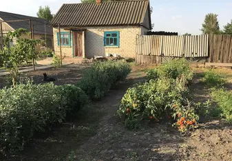 Small home surrounded by a beautiful garden