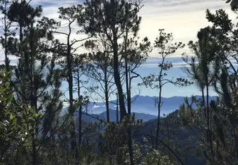 What a view