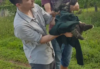 Rescuing the sloth with Maarten (who runs the project with Hanneke)