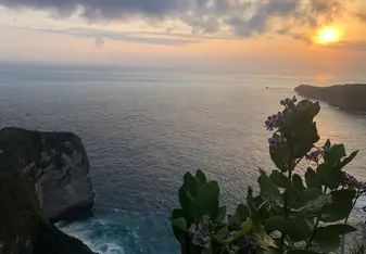 paradise <3