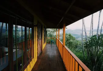 View from the yoga studio at a sustainable commune we visited. 
