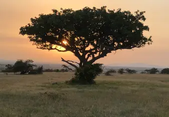 Sunrise on the Safari