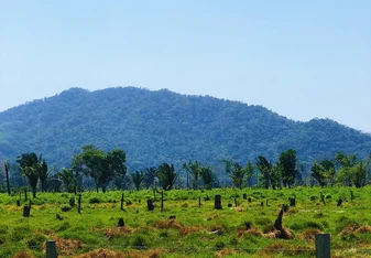 Landscape photo of Belize